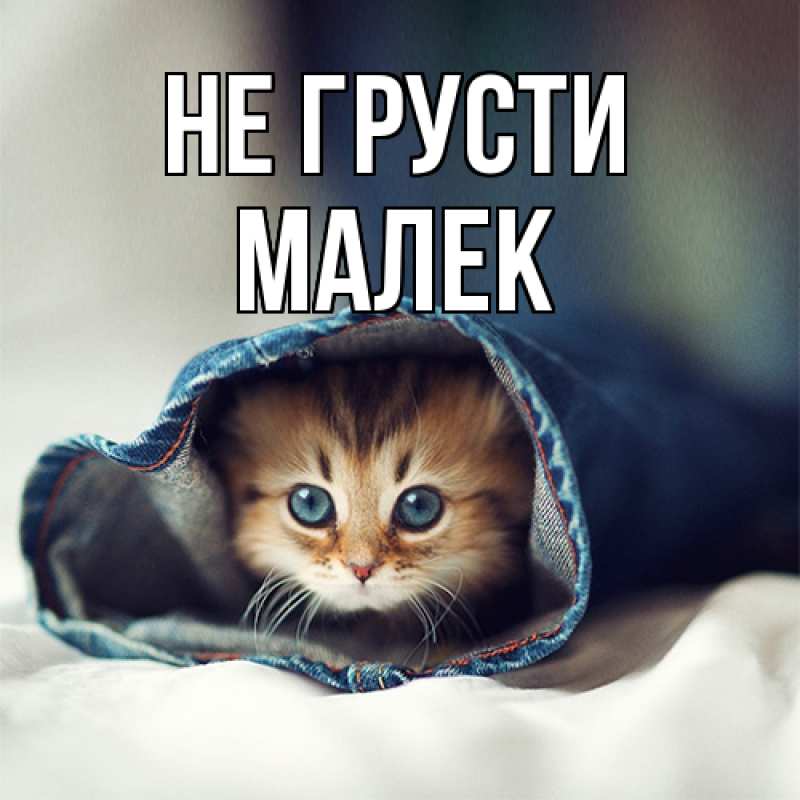 Картинка Не грусти, Малек