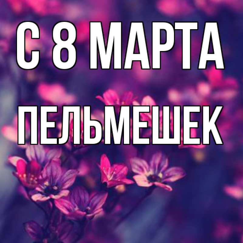 Картинка C 8 МАРТА, пельмешек