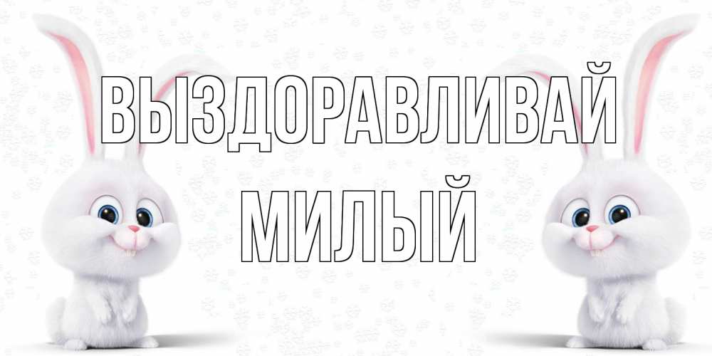 Открытка на каждый день с именем, Милый Выздоравливай не болей с зайцем Прикольная открытка с пожеланием онлайн скачать бесплатно 