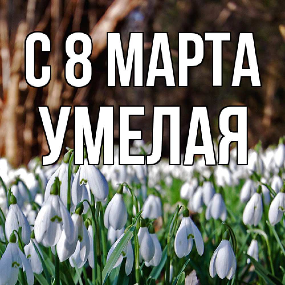Открытка на каждый день с именем, Умелая C 8 МАРТА с подснежниками 1 Прикольная открытка с пожеланием онлайн скачать бесплатно 