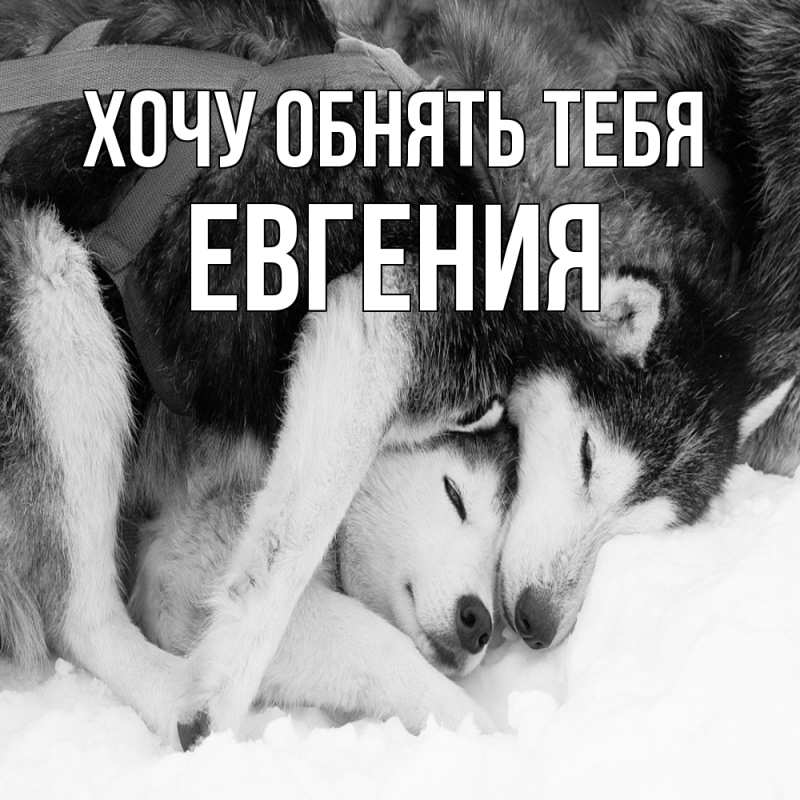 Картинка Хочу обнять тебя, Евгения