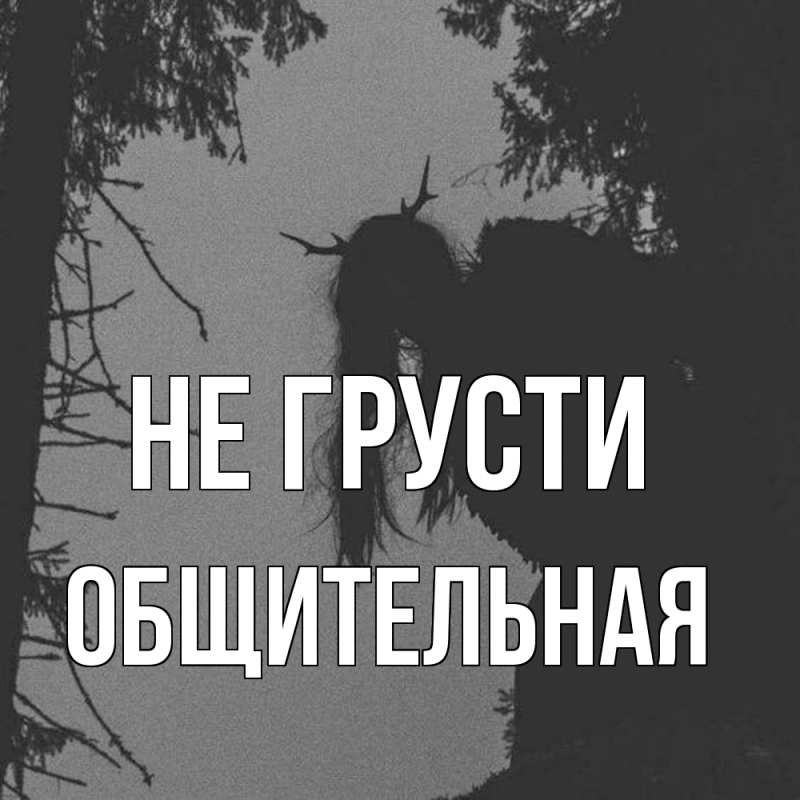 Картинка Не грусти, Общительная