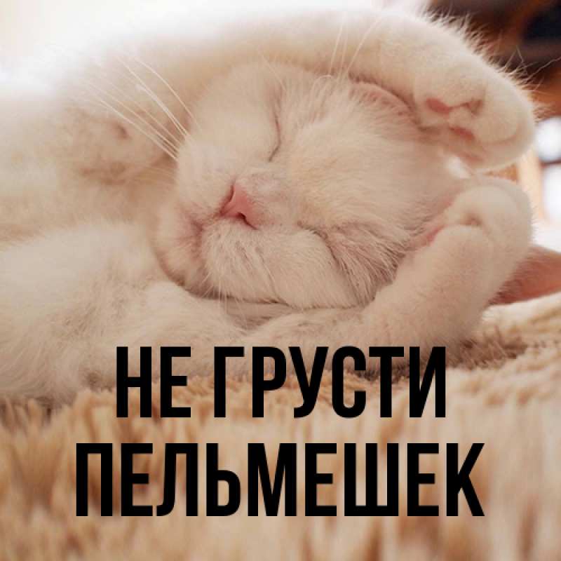 Картинка Не грусти, пельмешек