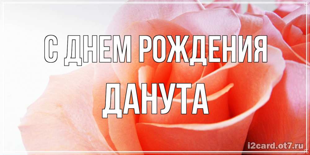 Открытка на каждый день с именем, Данута С днем рождения розы для поздравления с днем рождения Прикольная открытка с пожеланием онлайн скачать бесплатно 