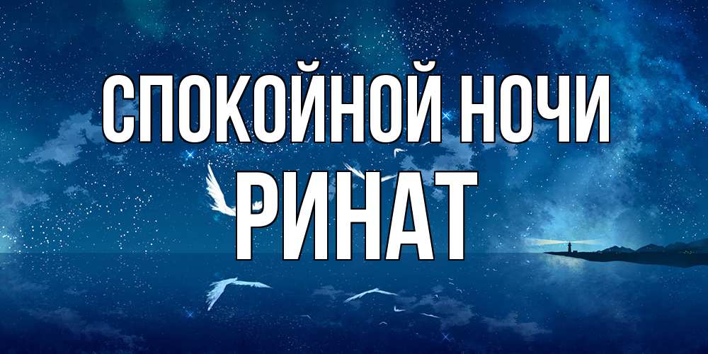 Открытка на каждый день с именем, Ринат Спокойной ночи птицы летят на фоне ночного неба Прикольная открытка с пожеланием онлайн скачать бесплатно 