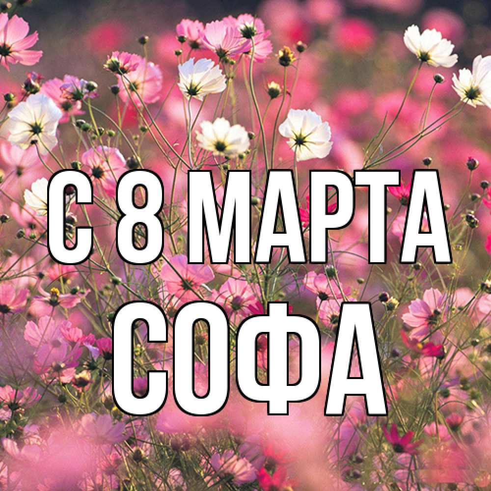 Открытка на каждый день с именем, Софа C 8 МАРТА красиво 1 Прикольная открытка с пожеланием онлайн скачать бесплатно 