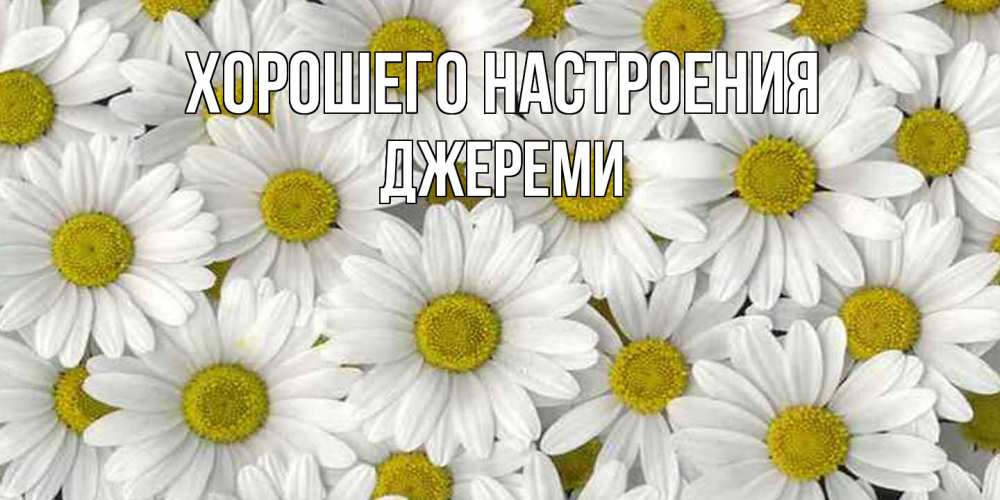 Открытка на каждый день с именем, Джереми Хорошего настроения поляна ромашек Прикольная открытка с пожеланием онлайн скачать бесплатно 