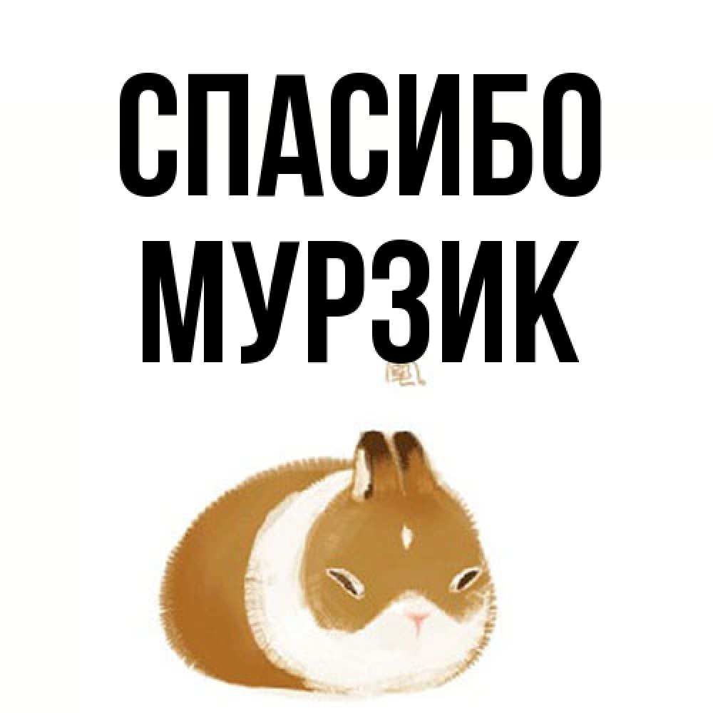 Открытка на каждый день с именем, Муpзик Спасибо коричнево белый домашний питомец Прикольная открытка с пожеланием онлайн скачать бесплатно 