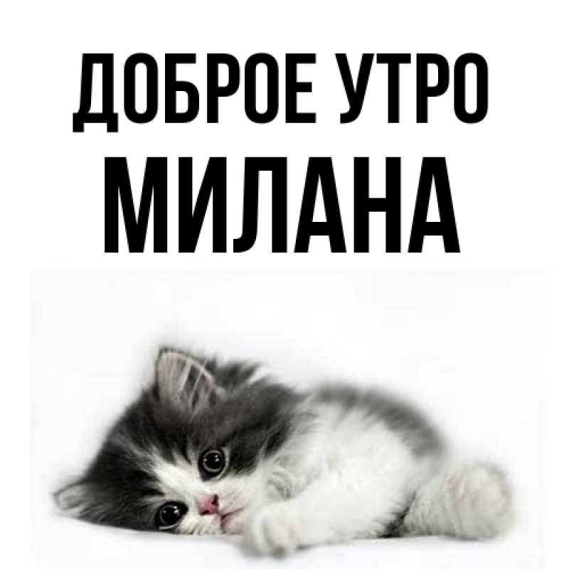 Картинка Доброе утро, Милана