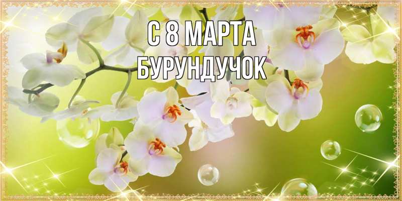 Картинка C 8 МАРТА, бурундучок
