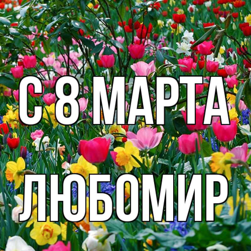 Картинка C 8 МАРТА, Любомир