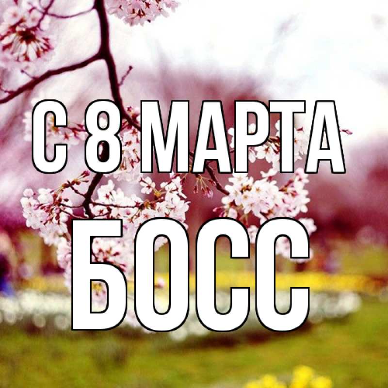 Картинка C 8 МАРТА, Босс