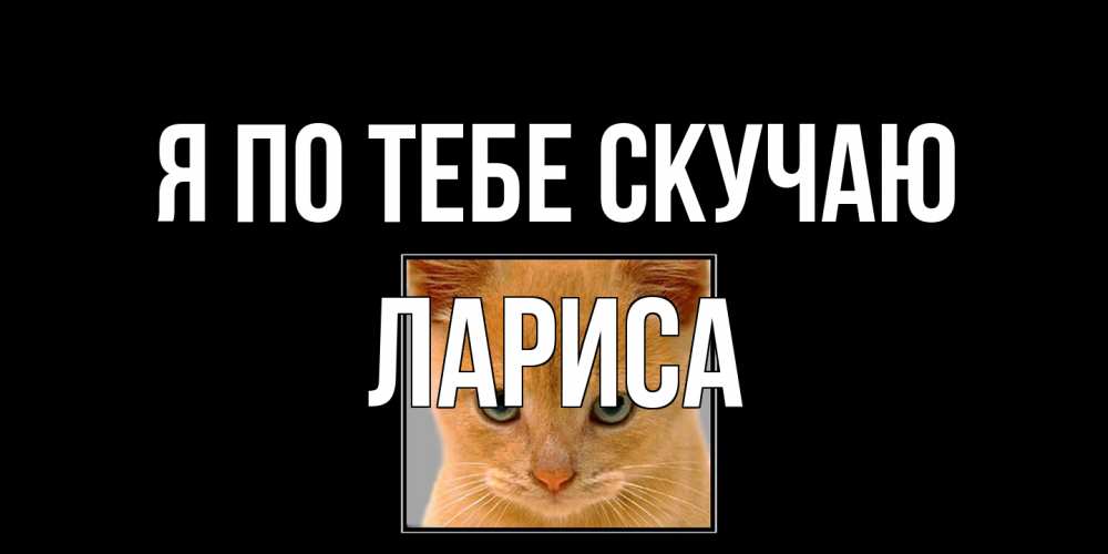 Открытка на каждый день с именем, Лариса Я по тебе скучаю открытки рыжий котенок скучает по тебе Прикольная открытка с пожеланием онлайн скачать бесплатно 