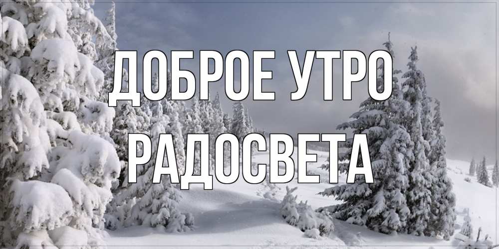 Открытка на каждый день с именем, Радосвета Доброе утро пасмурное утро Прикольная открытка с пожеланием онлайн скачать бесплатно 