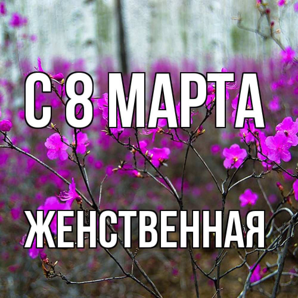 Открытка на каждый день с именем, женственная C 8 МАРТА дикие цветы Прикольная открытка с пожеланием онлайн скачать бесплатно 