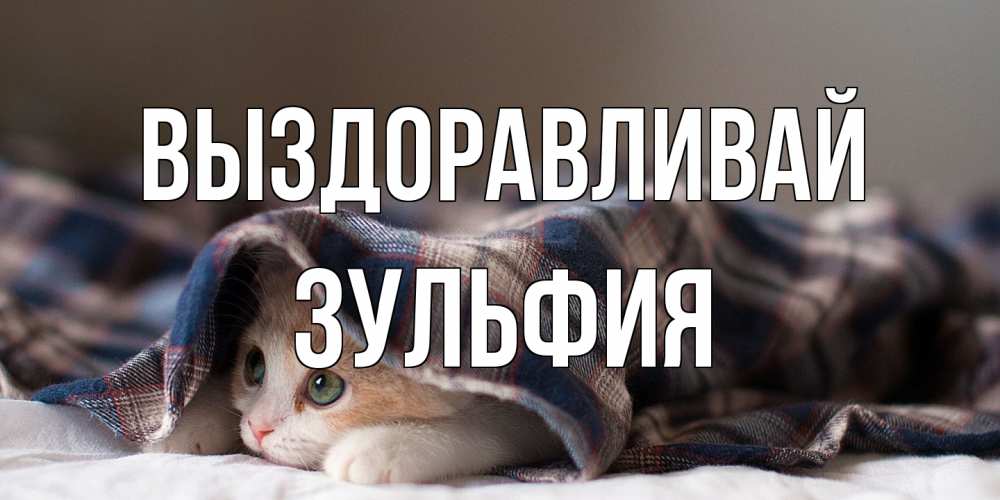 Открытка на каждый день с именем, Зульфия Выздоравливай не болейте с котиком Прикольная открытка с пожеланием онлайн скачать бесплатно 