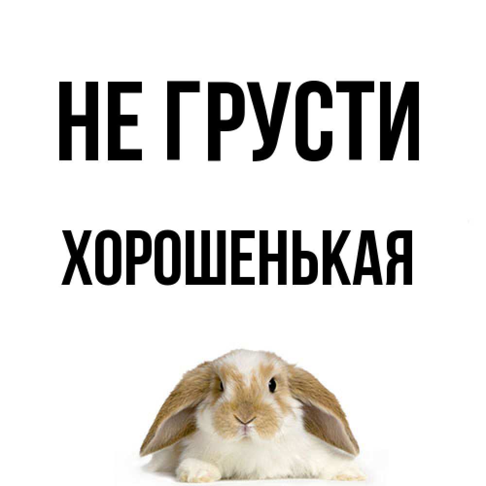 Открытка на каждый день с именем, хорошенькая Не грусти коричнево белый заяц с большими ушками Прикольная открытка с пожеланием онлайн скачать бесплатно 