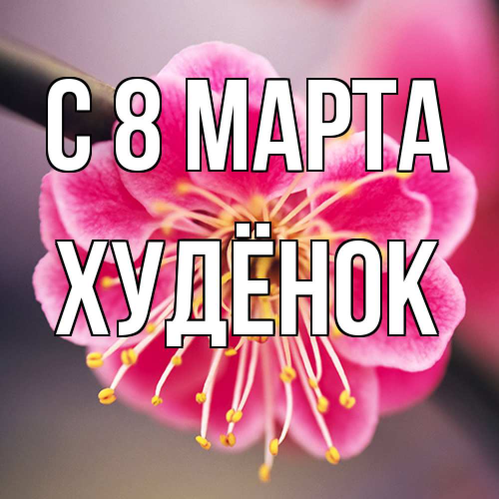 Открытка на каждый день с именем, худёнок C 8 МАРТА цветы Прикольная открытка с пожеланием онлайн скачать бесплатно 