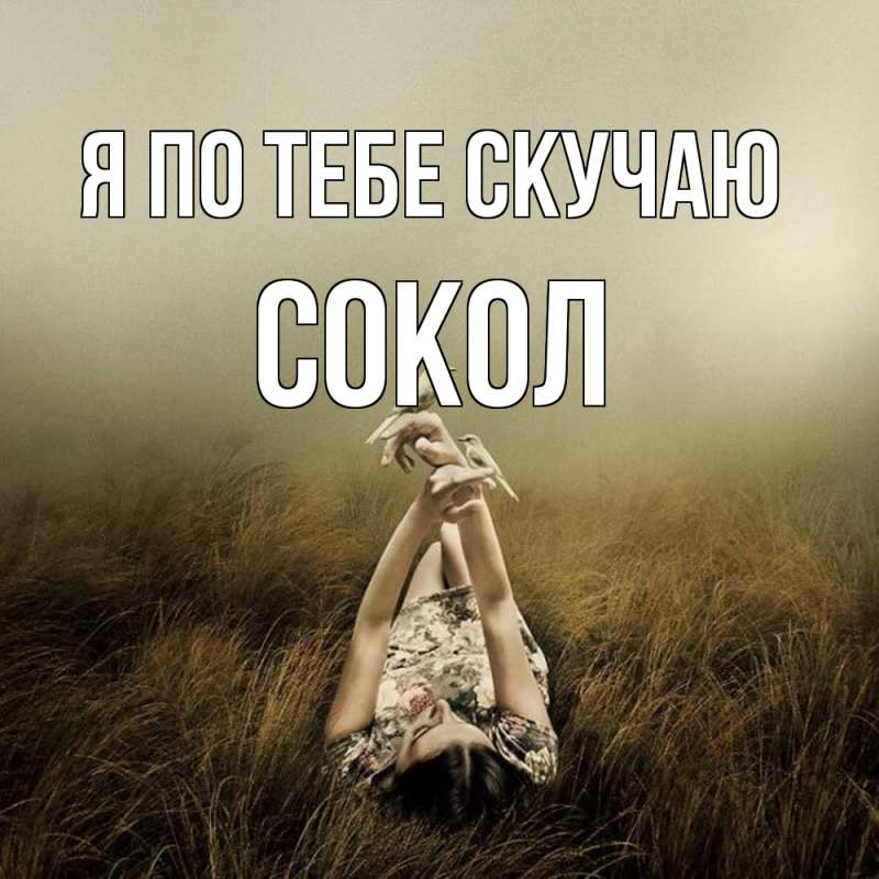 Картинка Я по тебе скучаю, Сокол