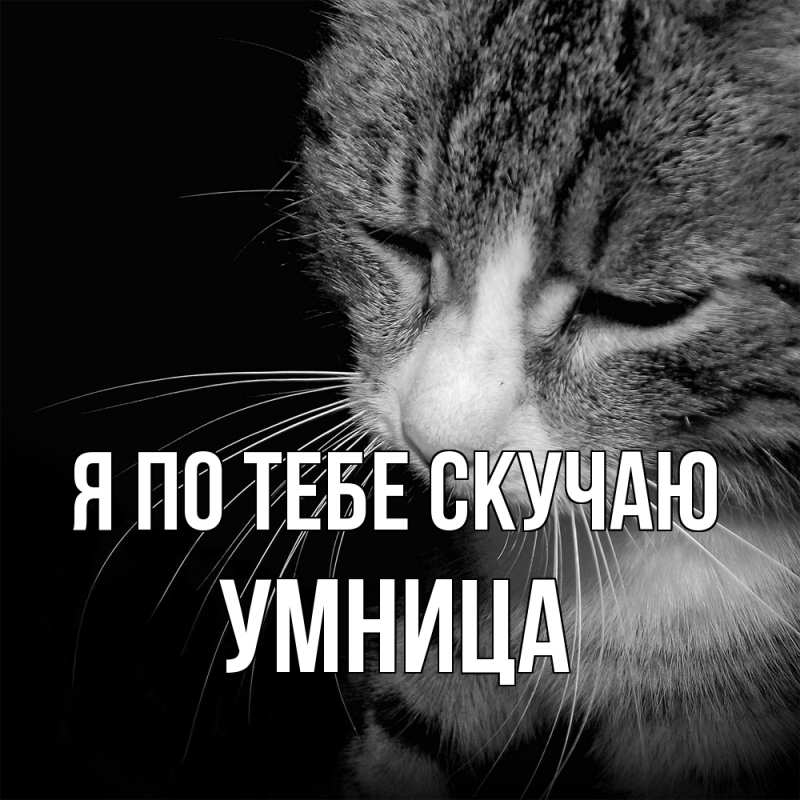 Картинка Я по тебе скучаю, Умница