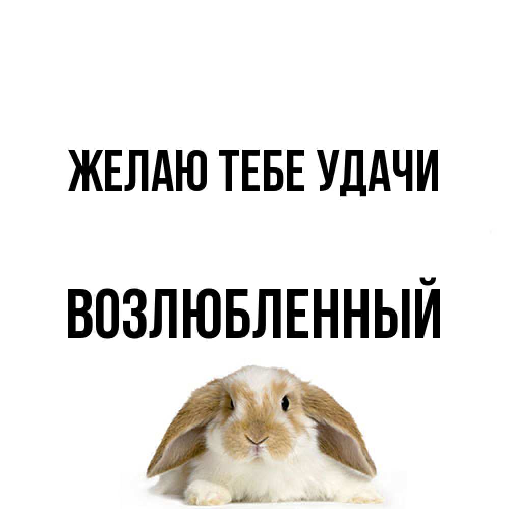 Открытка на каждый день с именем, Возлюбленный Желаю тебе удачи открытки с произвольным текстом который можно вставить в открытку и создать ее самостоятельно бесплатно онлайн Прикольная открытка с пожеланием онлайн скачать бесплатно 