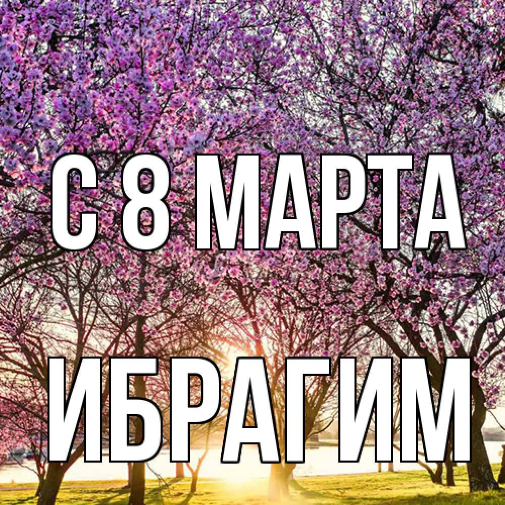 Открытка на каждый день с именем, Ибрагим C 8 МАРТА международный женский день Прикольная открытка с пожеланием онлайн скачать бесплатно 