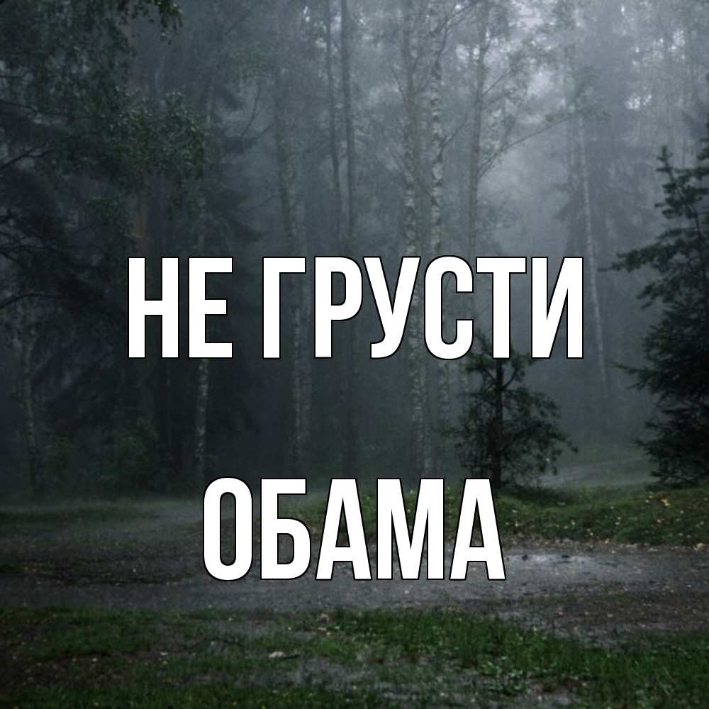 Открытка на каждый день с именем, Обама Не грусти осень Прикольная открытка с пожеланием онлайн скачать бесплатно 