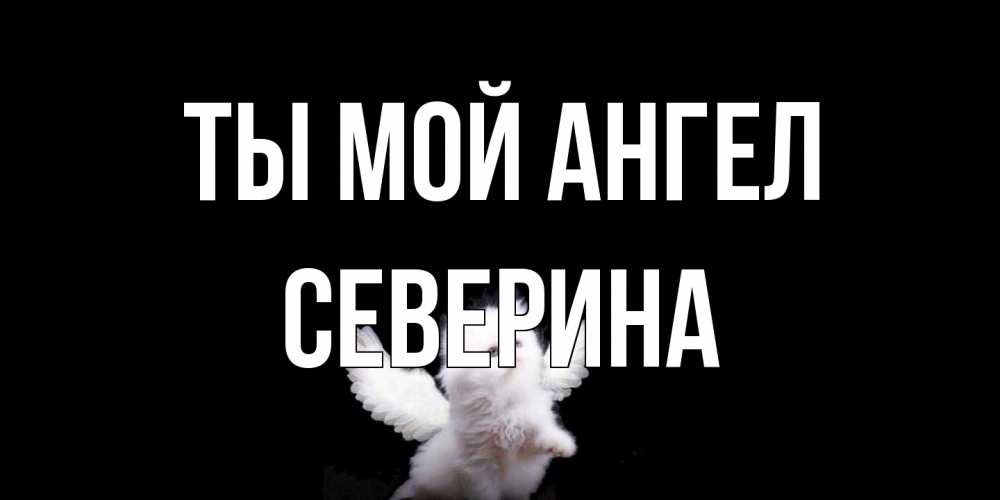 Открытка на каждый день с именем, Северина Ты мой ангел Кот ангел Прикольная открытка с пожеланием онлайн скачать бесплатно 