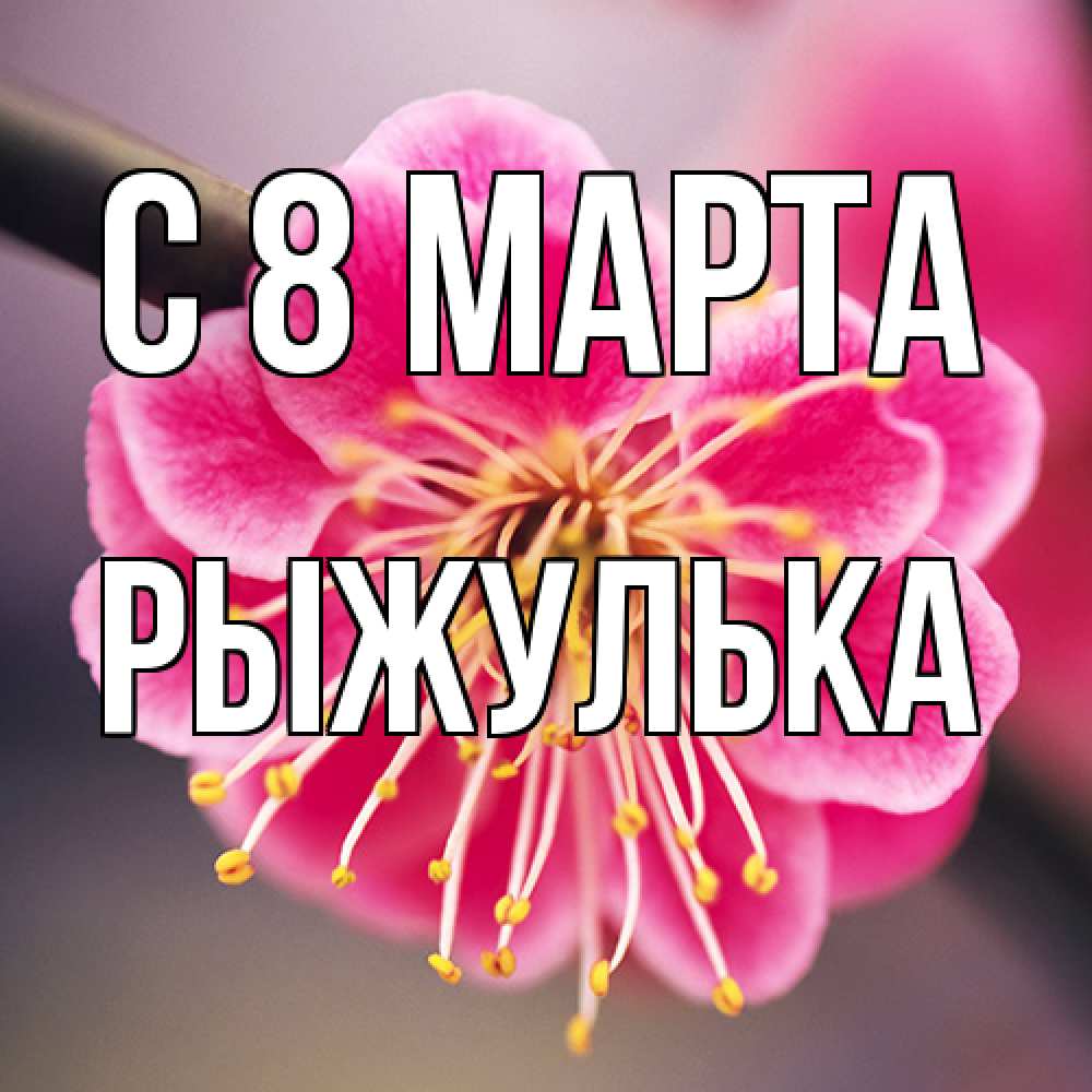 Открытка на каждый день с именем, рыжулька C 8 МАРТА цветы Прикольная открытка с пожеланием онлайн скачать бесплатно 