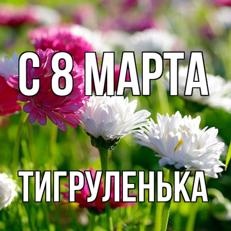 Картинка C 8 МАРТА, Тигpуленька