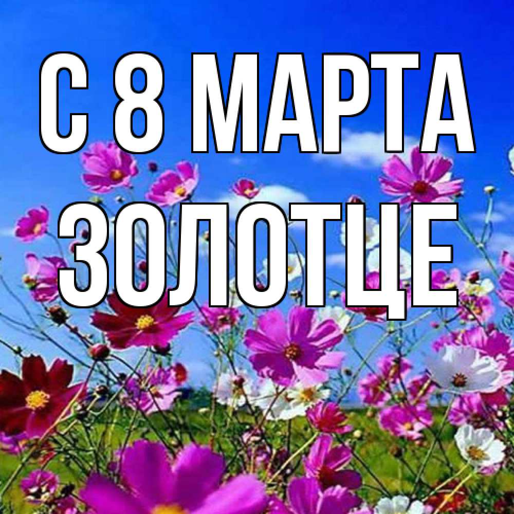 Открытка на каждый день с именем, Золотце C 8 МАРТА цветы Прикольная открытка с пожеланием онлайн скачать бесплатно 