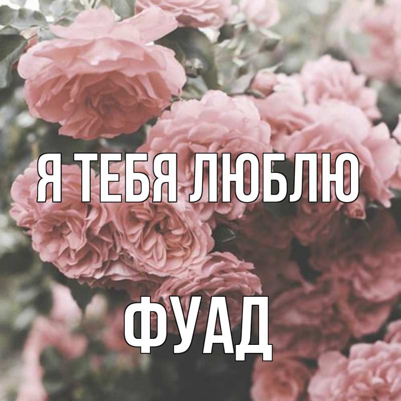 Картинка Я тебя люблю, Фуад
