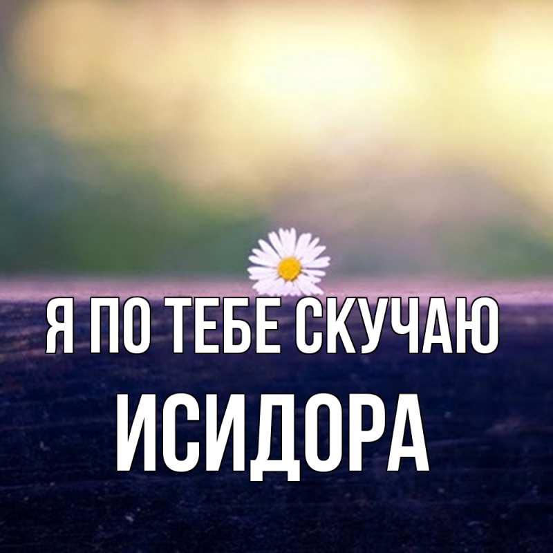 Картинка Я по тебе скучаю, Исидора