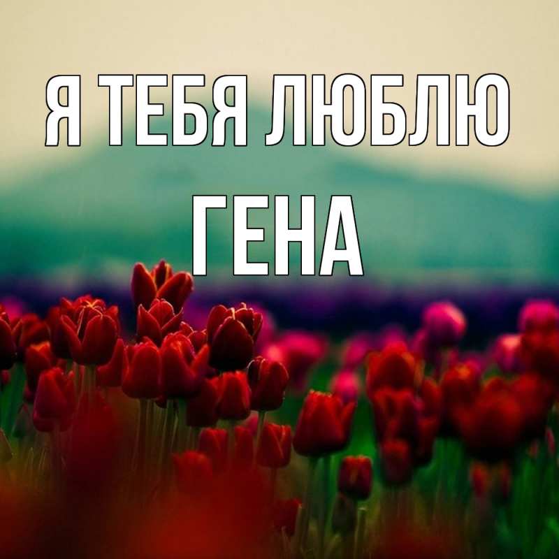 Картинка Я тебя люблю, Гена