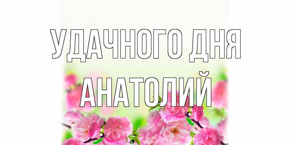 Открытка на каждый день с именем, Анатолий Удачного дня цветы Прикольная открытка с пожеланием онлайн скачать бесплатно 