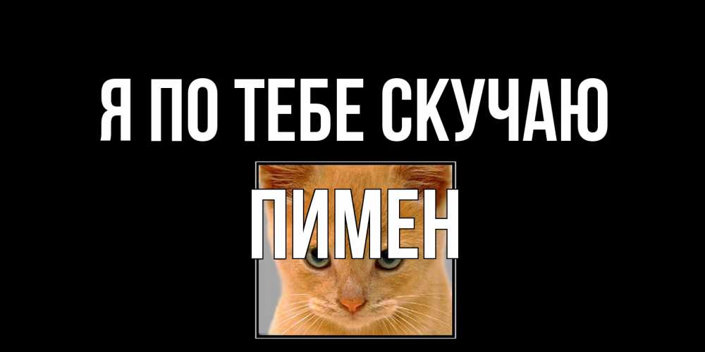 Открытка на каждый день с именем, Пимен Я по тебе скучаю открытки рыжий котенок скучает по тебе Прикольная открытка с пожеланием онлайн скачать бесплатно 