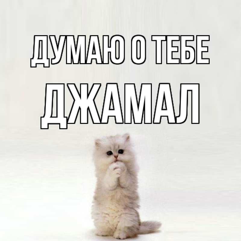 Картинка Думаю о тебе, Джамал