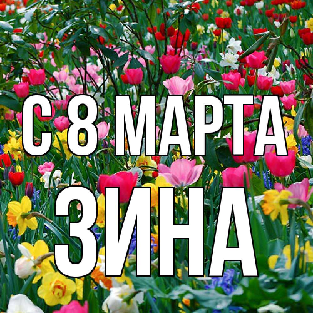 Открытка на каждый день с именем, Зина C 8 МАРТА с международным женским днем поздравления для женщины Прикольная открытка с пожеланием онлайн скачать бесплатно 