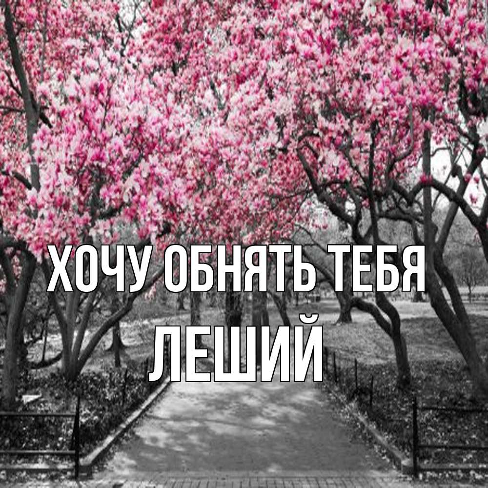 Открытка на каждый день с именем, Леший Хочу обнять тебя обработанное фото Прикольная открытка с пожеланием онлайн скачать бесплатно 