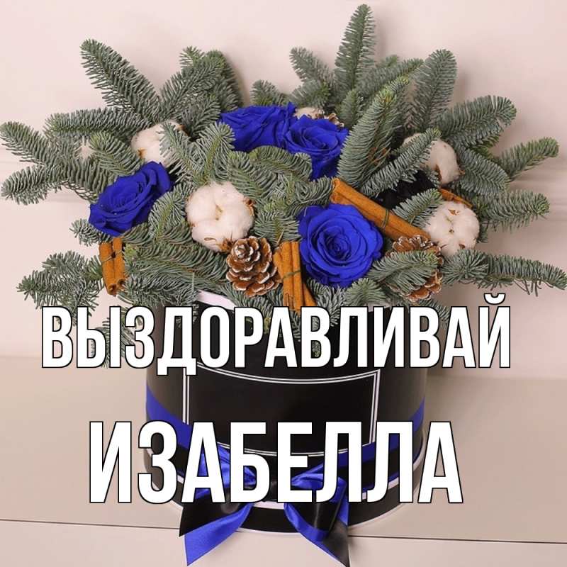 Картинка Выздоравливай, Изабелла