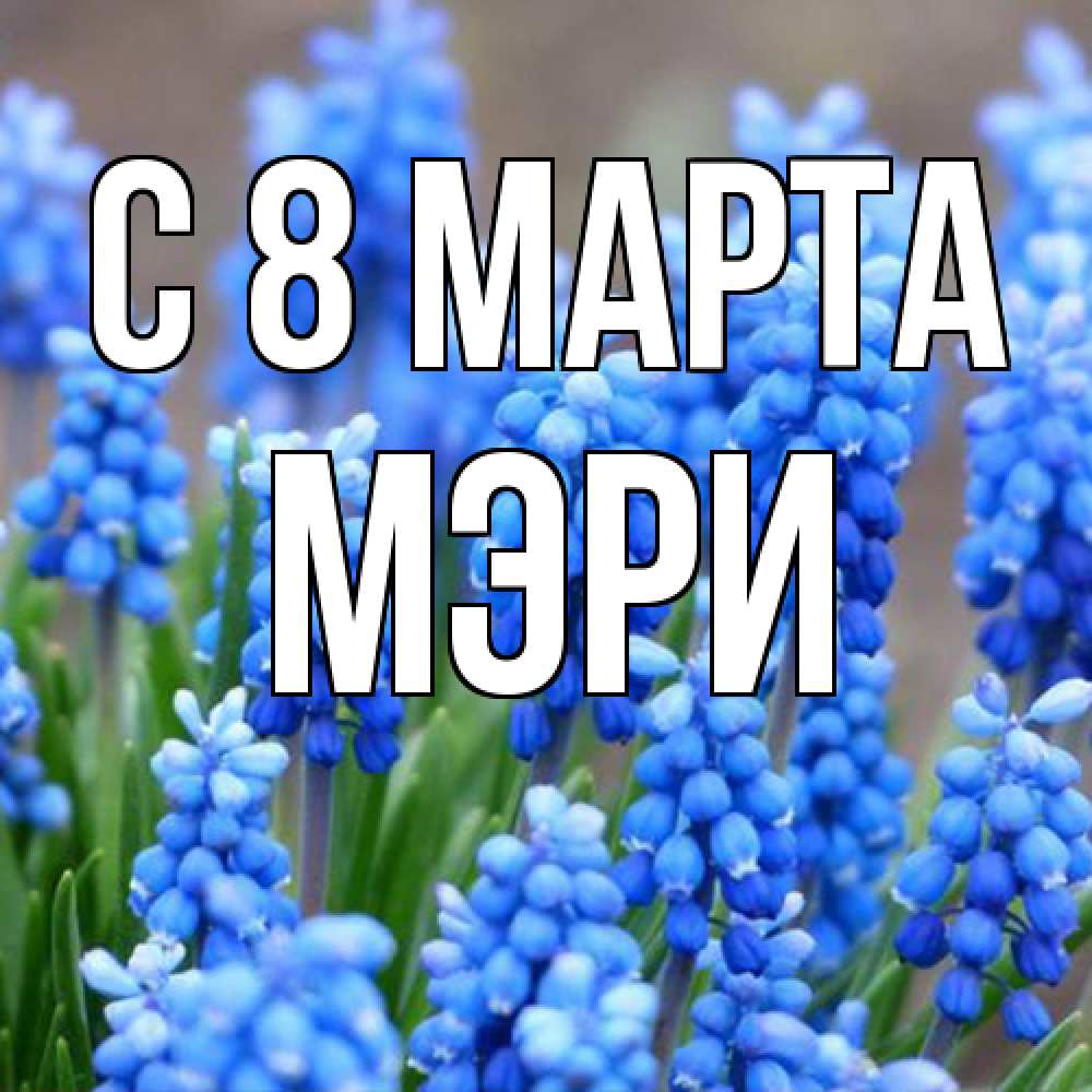 Открытка на каждый день с именем, Мэри C 8 МАРТА Поздравительная открытка для женщин с цветами на праздничную дату Прикольная открытка с пожеланием онлайн скачать бесплатно 