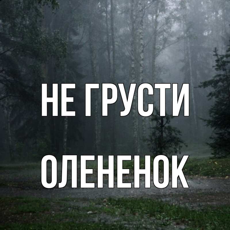 Картинка Не грусти, Олененок