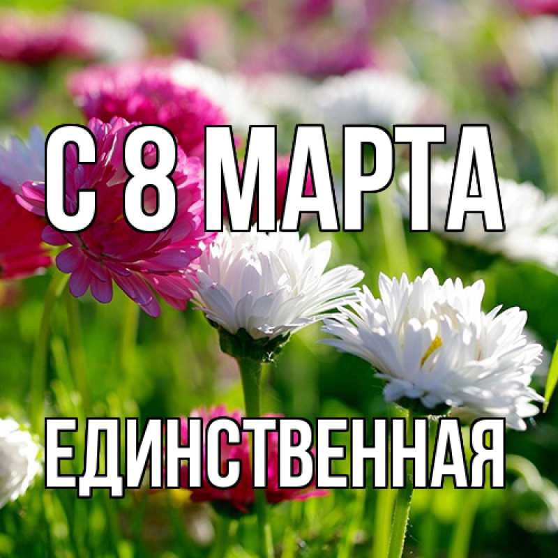 Картинка C 8 МАРТА, Единственная