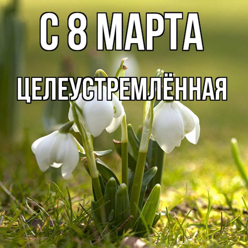 Картинка C 8 МАРТА, Целеустремлённая