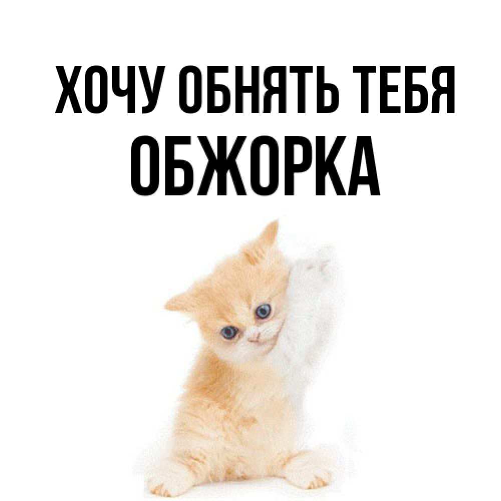 Открытка на каждый день с именем, Обжорка Хочу обнять тебя я хочу очень скорее обнимаешек Прикольная открытка с пожеланием онлайн скачать бесплатно 
