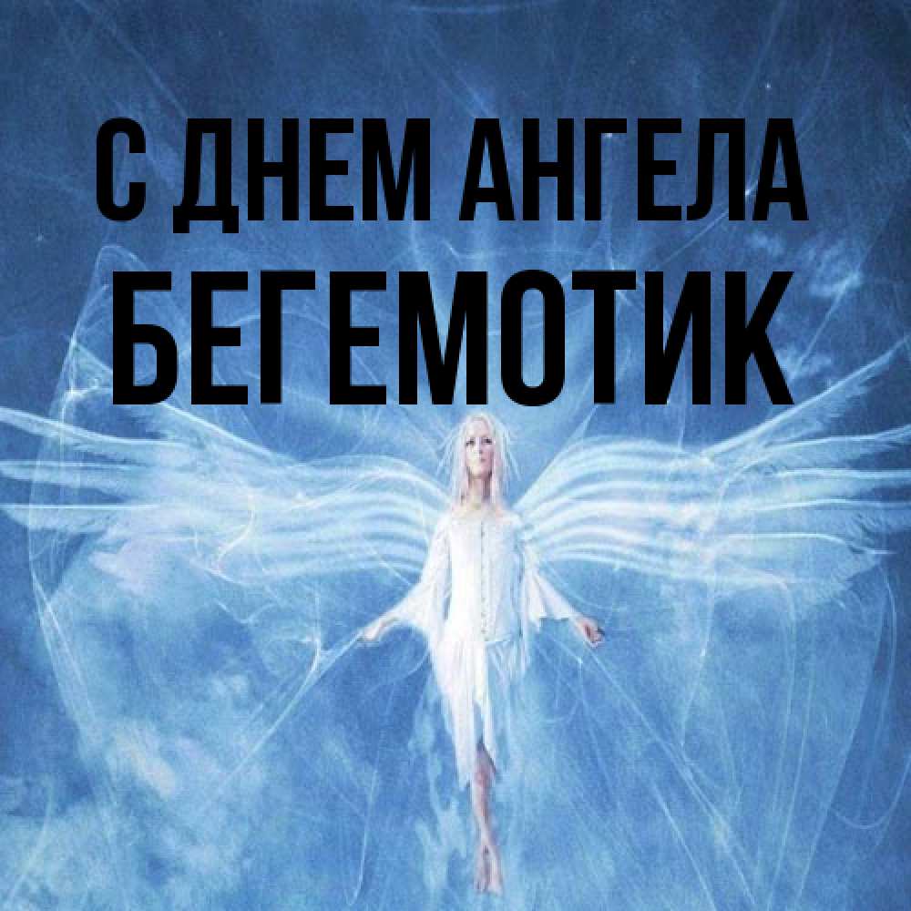 Открытка на каждый день с именем, Бегемотик С днем ангела голубой фон и крылья как у стрекозы Прикольная открытка с пожеланием онлайн скачать бесплатно 