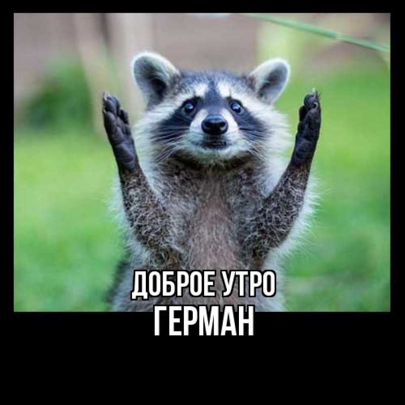 Картинка Доброе утро, Герман