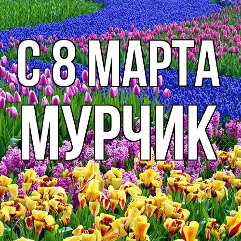 Картинка C 8 МАРТА, Мурчик