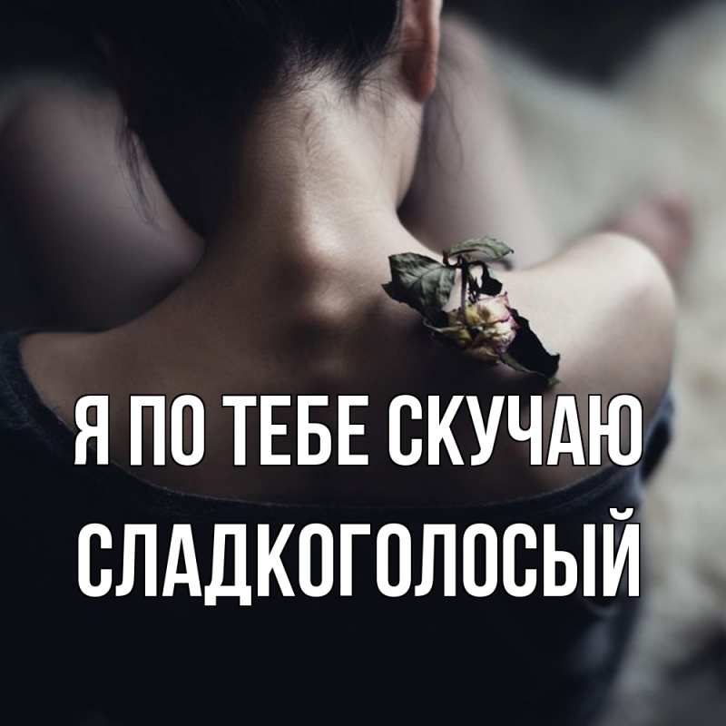 Картинка Я по тебе скучаю, Сладкоголосый