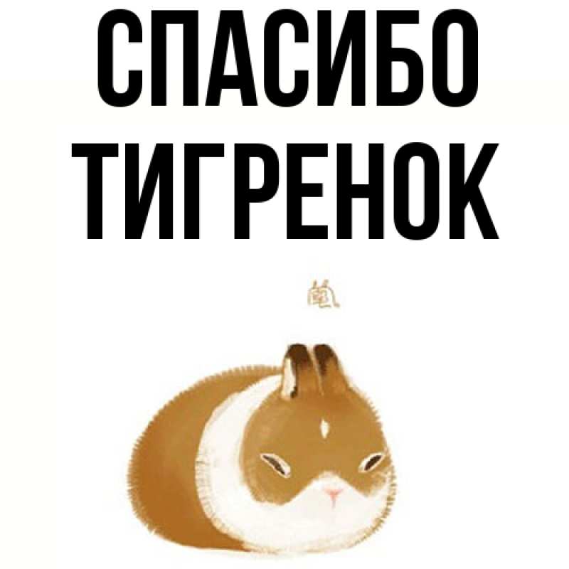 Картинка Спасибо, Тигpенок